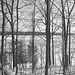 Paysages d'hiver à proximité de l'abbaye de St-Benoit-du-lac au Québec .  7 Février 2009 -  B & W