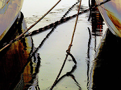 goutte a goutte ... l'océan