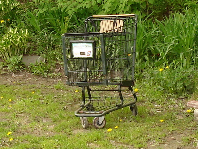 Panier roulant solitaire /  Lonely wheeling basket