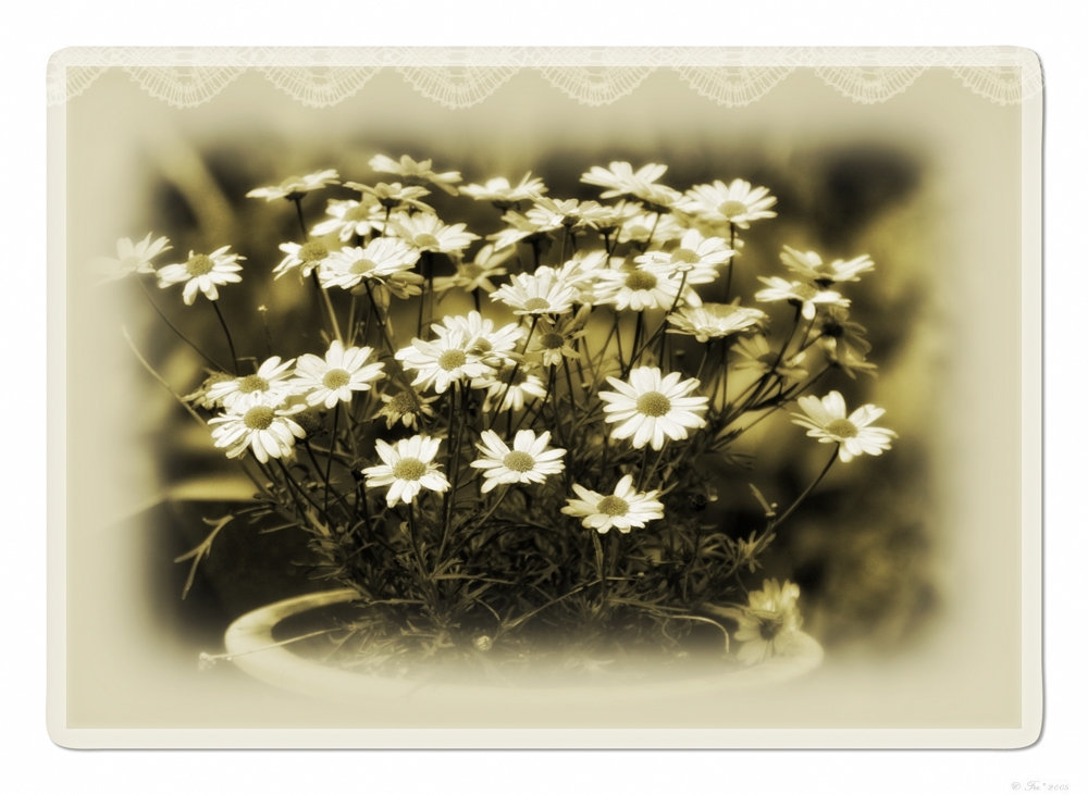 soft light