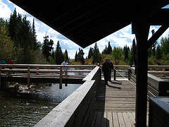 Jenny Lake Ferry Landing (0562)