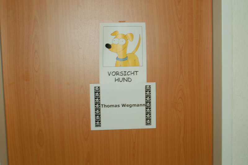 Südkurvenbesichtigung!0060
