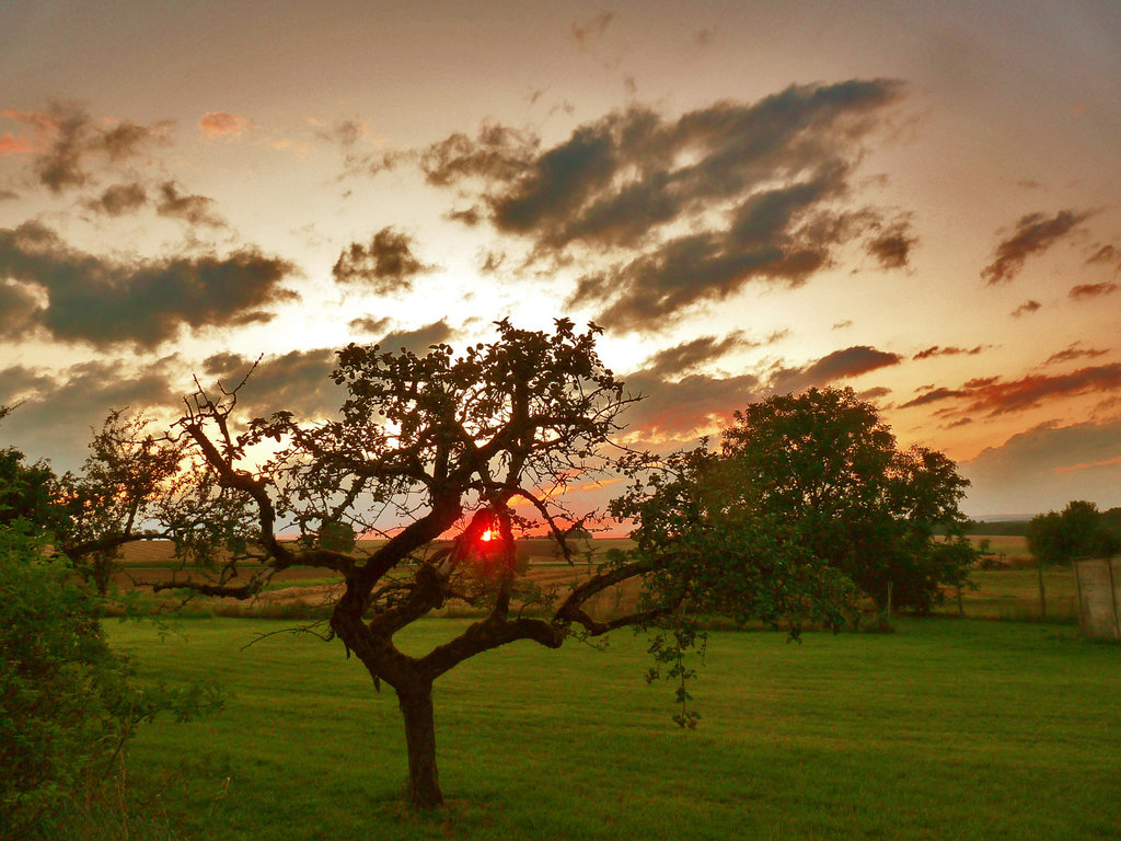 vieux au coucher