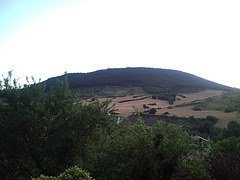 Montes de Sorauren (Navarra).