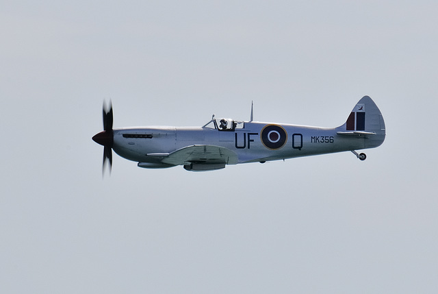 Spitfire