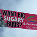 Sugary Buds I0480)