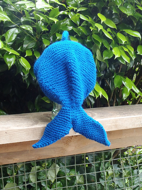 Fish Beanie for Karen