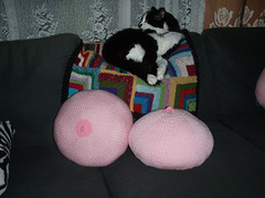 boob cushions