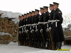 Military parade at Gediminas Tower in Wilna