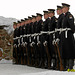 Military parade at Gediminas Tower in Wilna