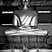 Buddha-8547