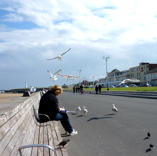 Feeding the Birds