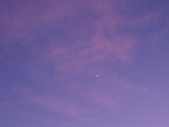 Just a sliver of moon