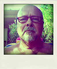 In The Backyard - Poladroid