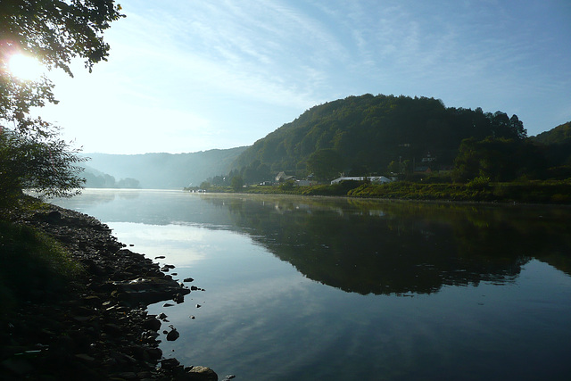 Herbstmorgen an der Elbe am 3.10.2009