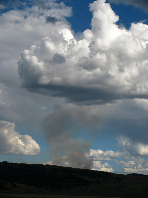 Prescribed Fire Smoke (1563)