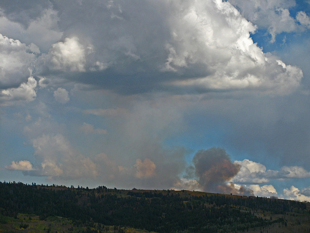 Prescribed Fire Smoke (1567)