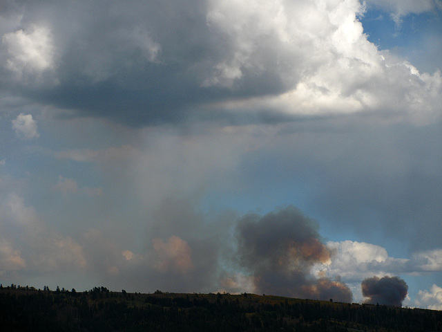 Prescribed Fire Smoke (1568)