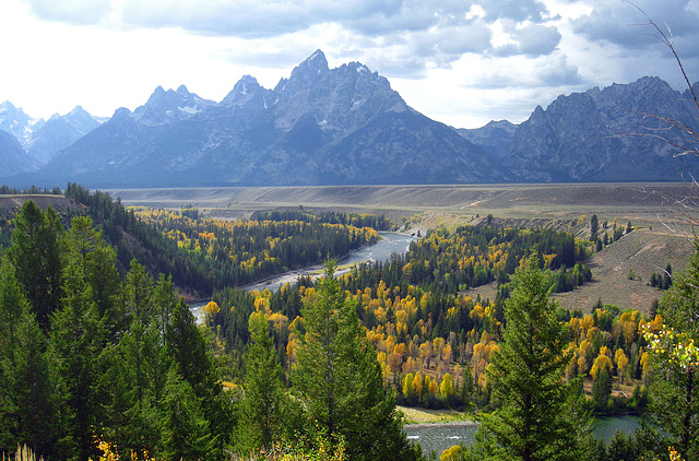 Snake River & Tetons (3737)