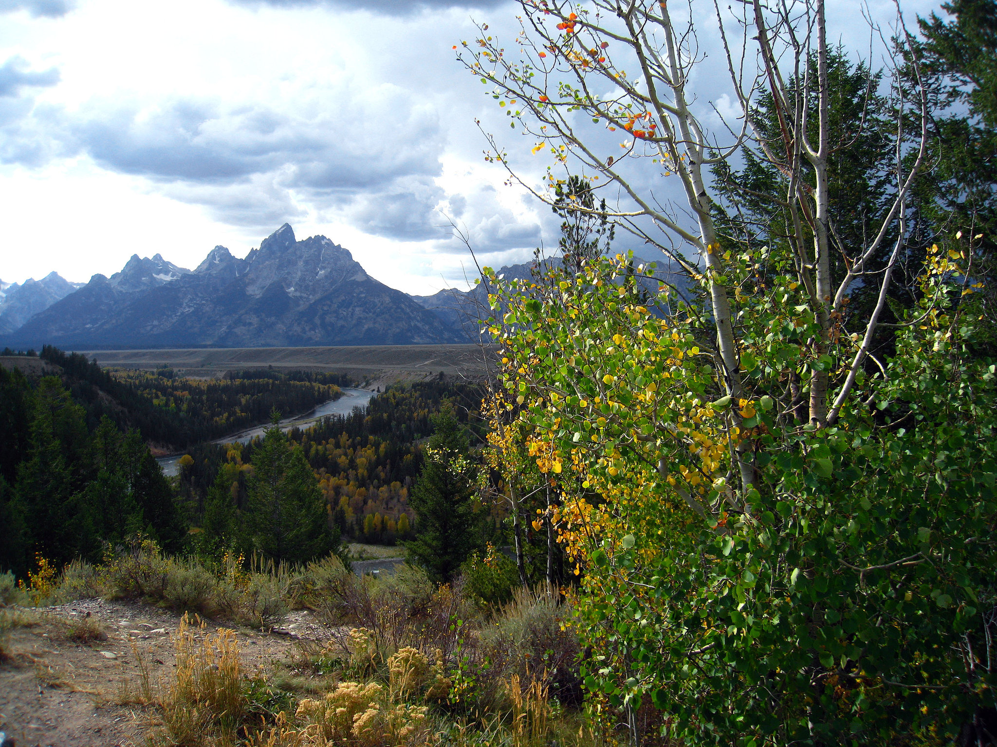 Snake River & Tetons (3738)