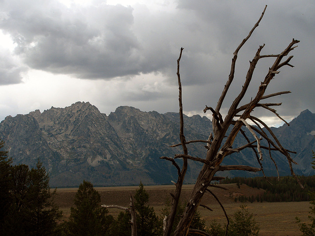 Tetons (1562)