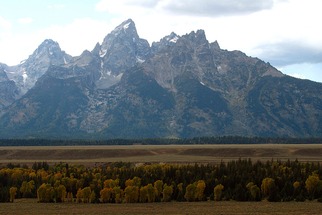 Tetons (1564)