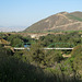 Greenfield CA Bridge 0386a