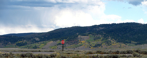 Stop Sign (1573)