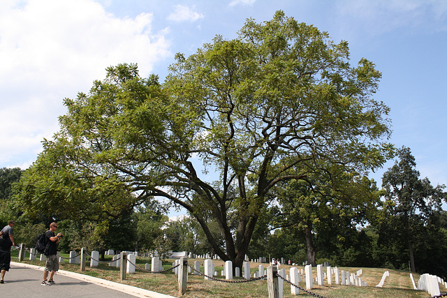 73.ArlingtonNationalCemetery.VA.30August2009