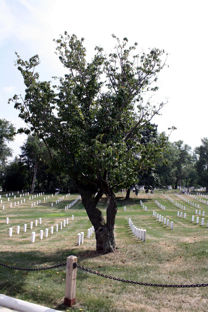 76.ArlingtonNationalCemetery.VA.30August2009