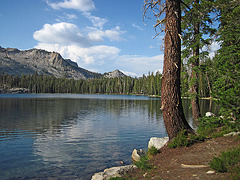 May Lake (0217)