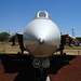 Grumman F-14 Tomcat (3170)