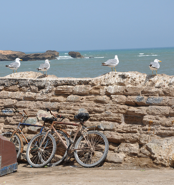 ESSAOUIRA