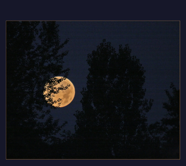 pleine lune sur l'Illwald