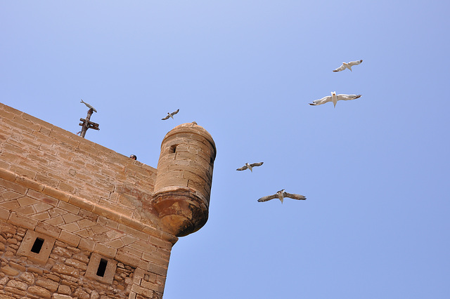 ESSAOUIRA