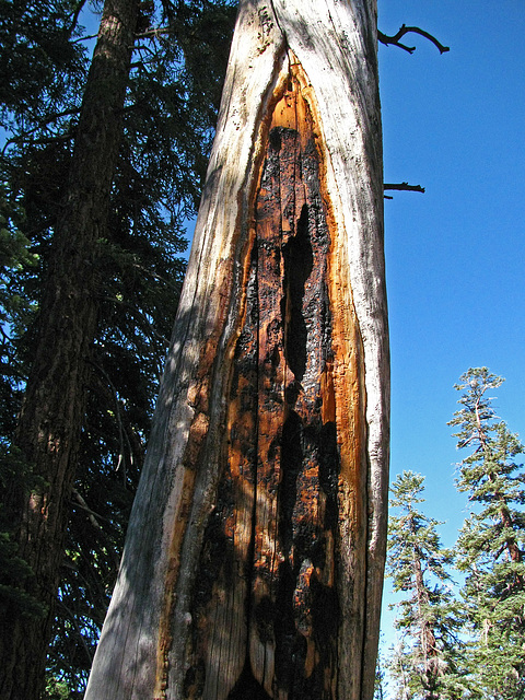 Hiking Out From May Lake (0822)