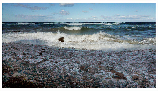 wilde Ostsee