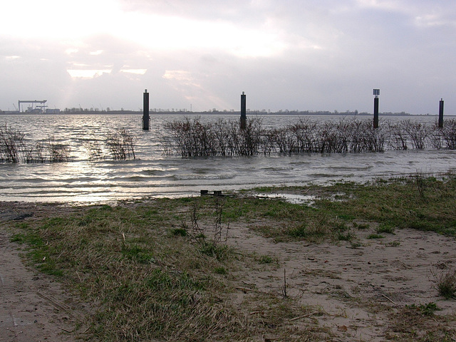 Abendstimmung Elbe  HH-Blankenese