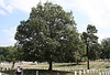 79.ArlingtonNationalCemetery.VA.30August2009