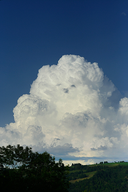 nuage Nounours