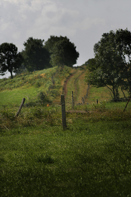 Chemin de torture !