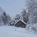 Snowy mornin' in the hollow.