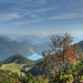 View from "Herzogstand" down to lake "Walchensee"