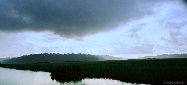 Une nuit dans un carbet dans les marais de Kaw