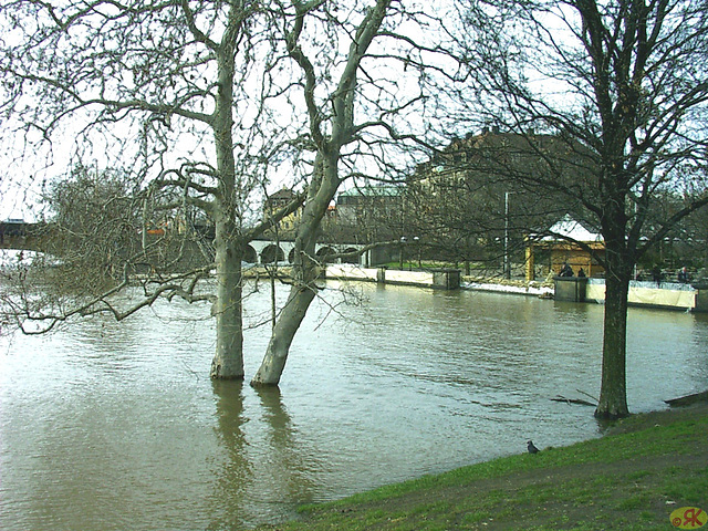 2006-04-05 029 Hochwasser