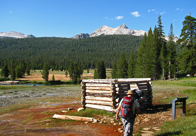 On The Trail To Glen Aulin - Soda Springs (0601)