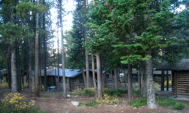 Colter Bay Village Cabins (3634)