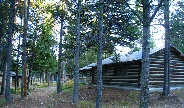 Colter Bay Village Cabins (3639)