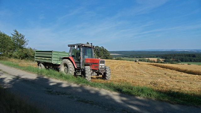 Landwirtschaft