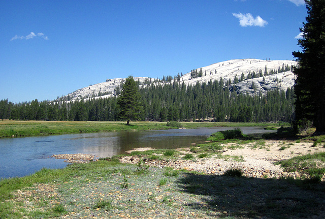 On The Trail To Glen Aulin - Tuolumne River (0099)